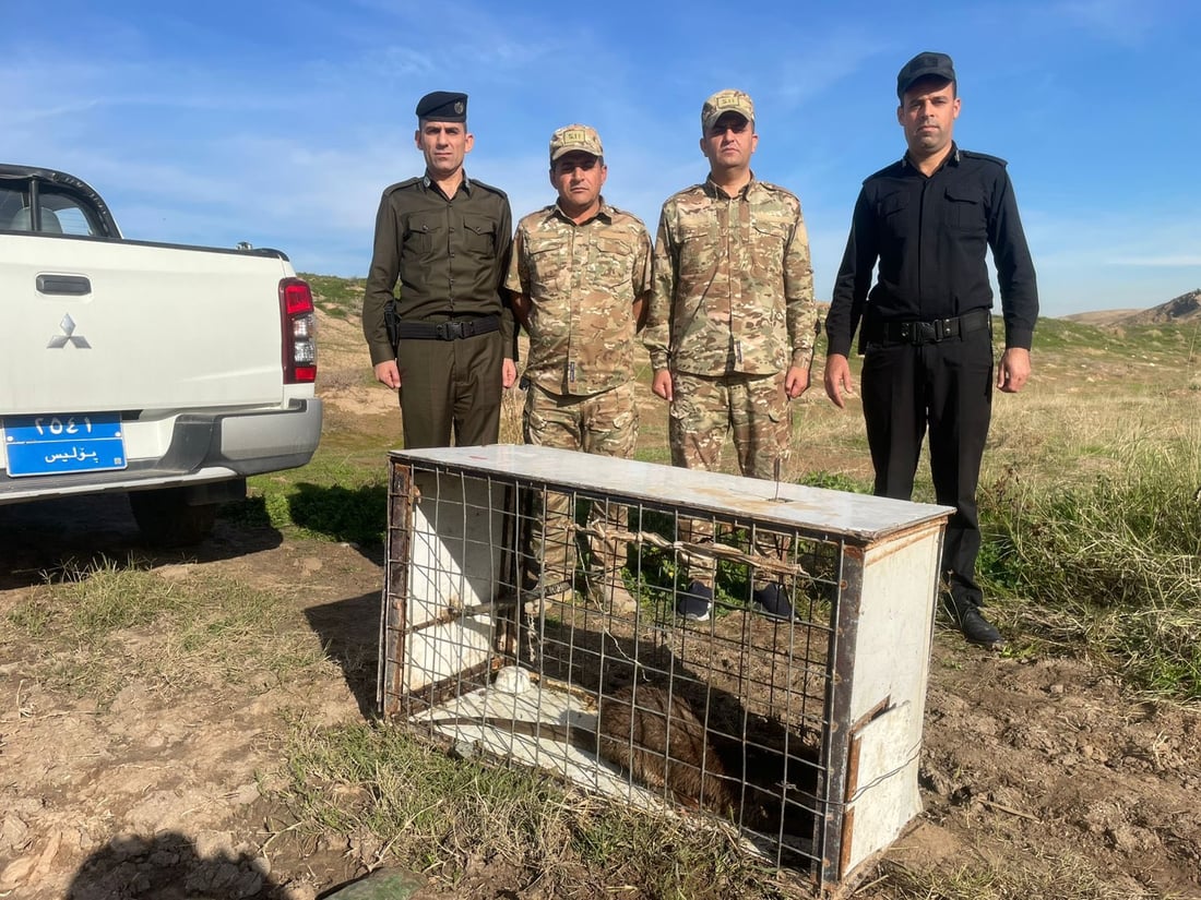 لە گوندێکی بەردەڕەش “سەگێکی ئاوی” گواسترایەوە