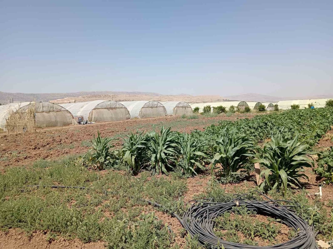 رێنمایی زانستی دەدرێتە جوتیاران