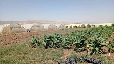 رێنمایی زانستی دەدرێتە جوتیاران