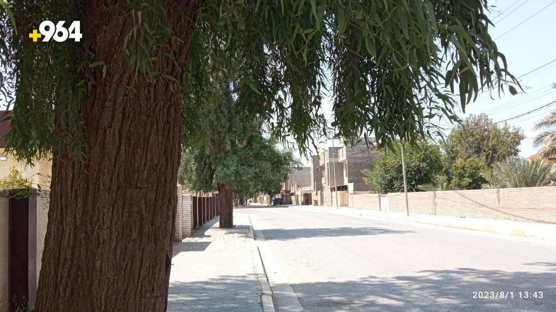 صور: طويريج تضع حراساً على 75 شجرة معمرة لحمايتها من الحطابين