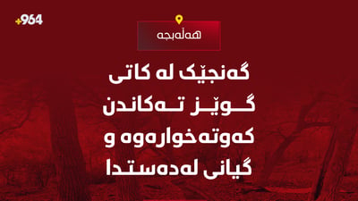گەنجێک لە کاتی گوزێز تەکاندندا گیانی لەدەستدا