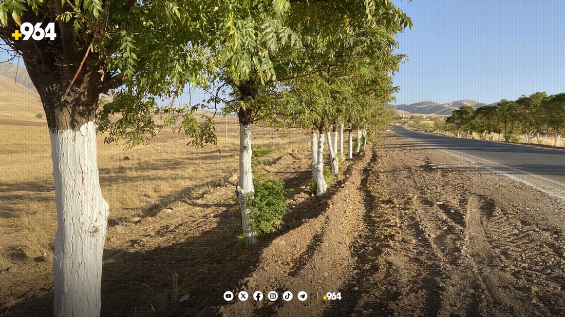 دەروازەی هەورامان زیندوو دەکرێتەوە