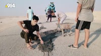 شباب السلمان أصلحوا 