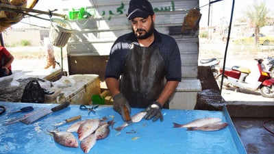 صور من مزاد النقعة الكبير: أسعار الأسماك البحرية اليوم الجمعة