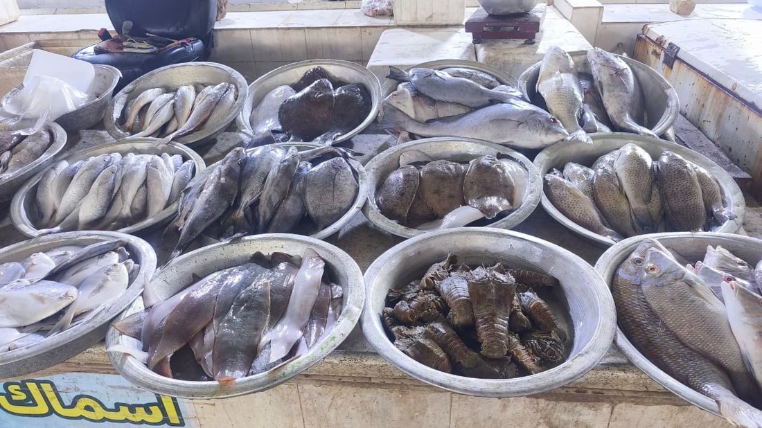 المحافظات تتوافد إلى سوق النقعة والسمك يصل بالأطنان (صور)