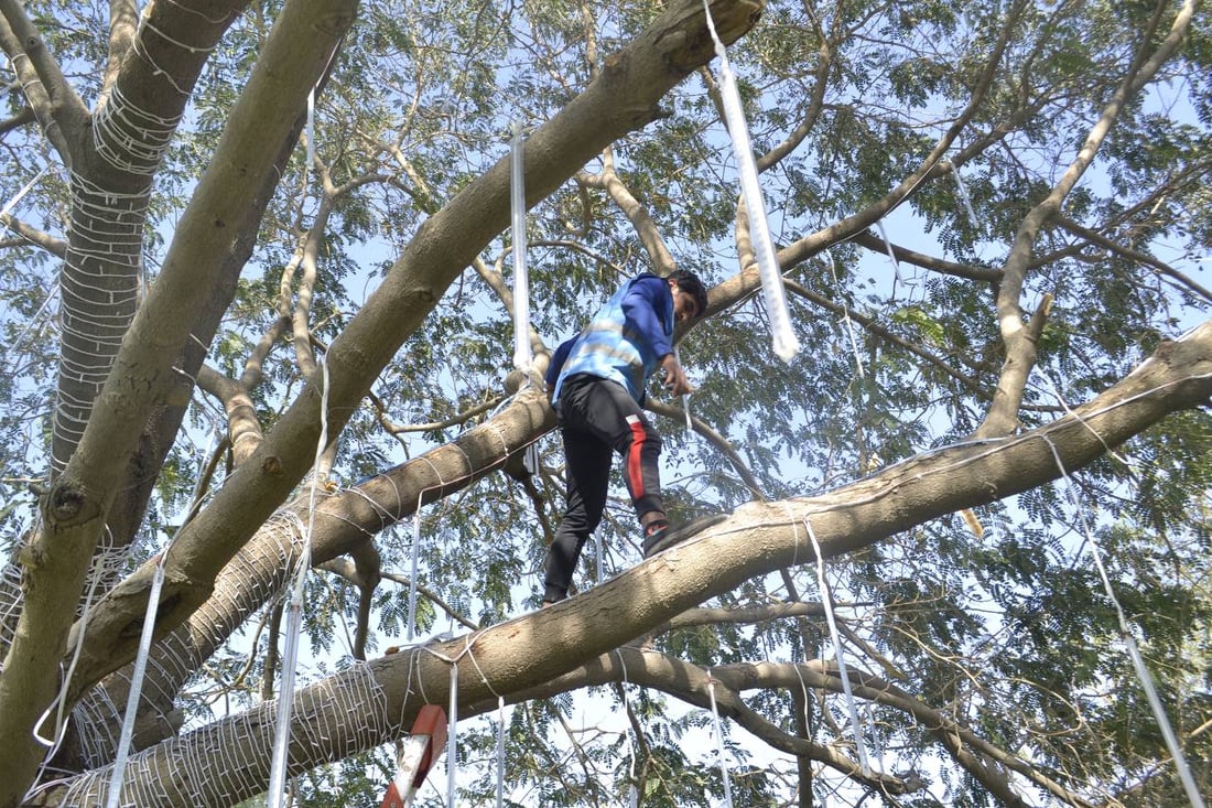 البياع: متنزه “بغداد” بحلة جديدة.. إنارة ليلية تحيي الحديقة حتى الصباح