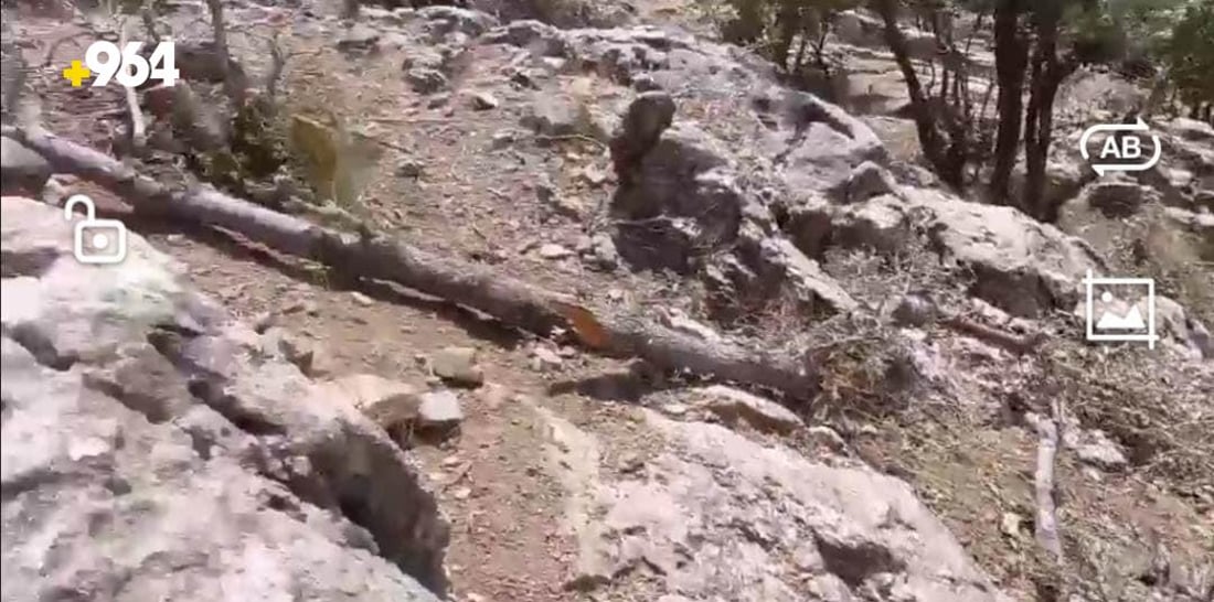 داربڕ و ئاگركه‌ره‌وه‌كه‌ى هه‌ڵشۆ ده‌ستگیركران