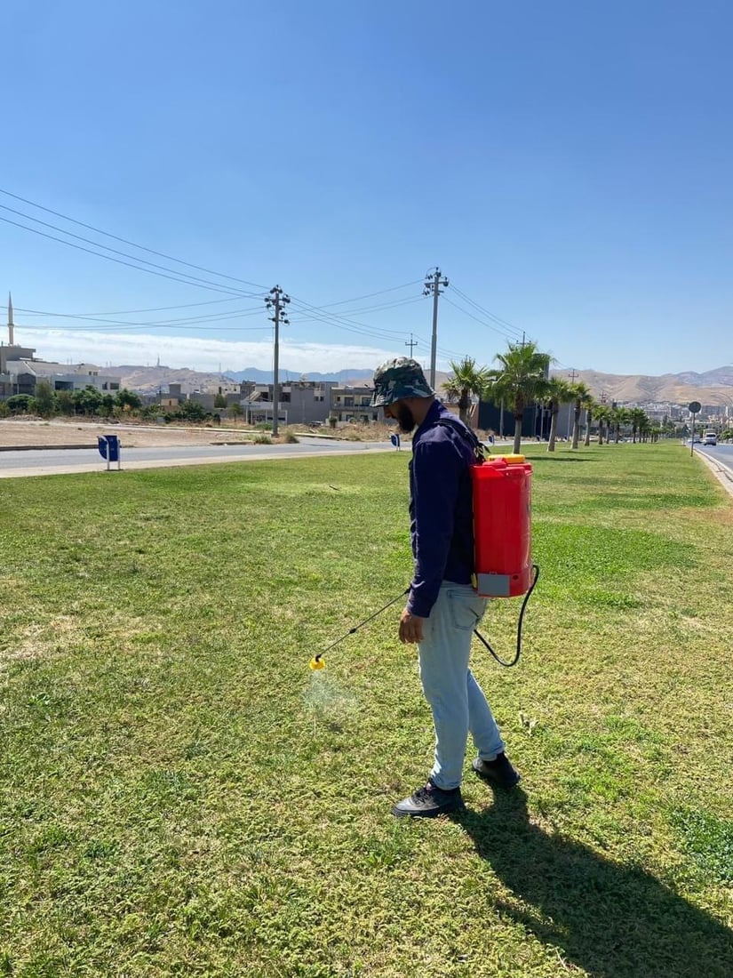 کرم بەربووەتە چیمەنی شەقام و پارکەکانی زاخۆ