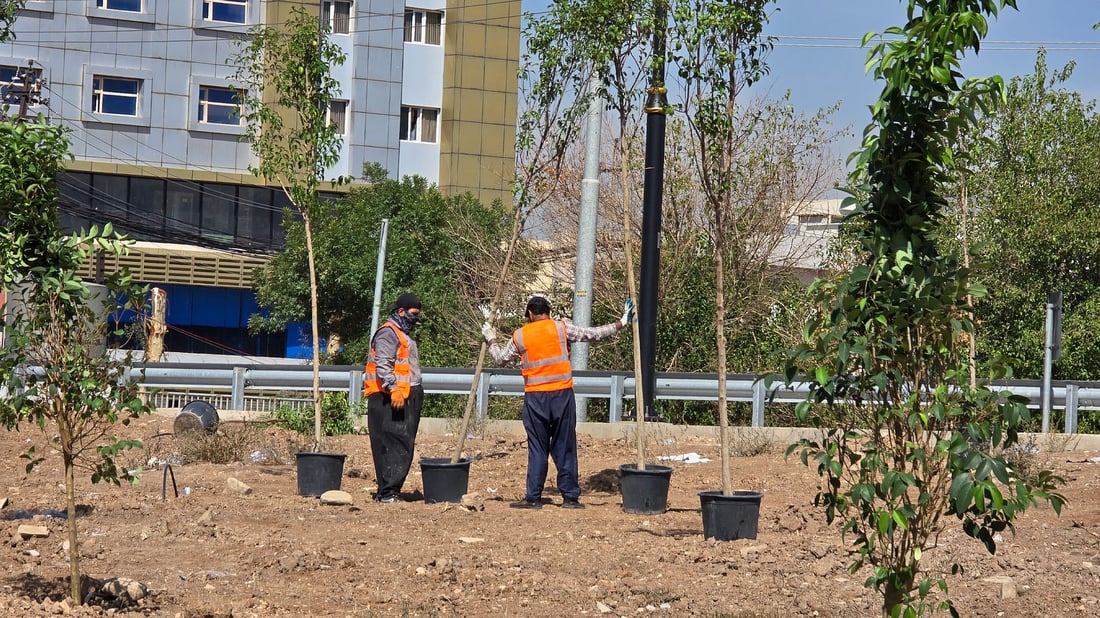 مونافس بۆ سەرچناری سلێمانی دروستدەکرێت لە سەوزاییدا
