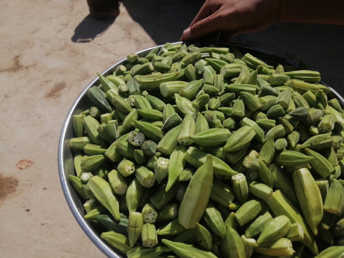 طباخ ربيعة الأشهر ياسر الجرجري: طبخت 1200 كيلو لحم بسهرة واحدة (صور)