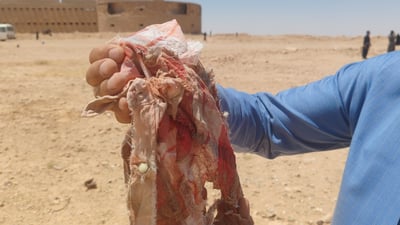 مایکی 964 دەخرێتە بەردەمی، “من ئەم ژمارەم خۆشەوێ”