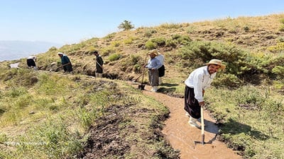 گوندەكانی خورماڵ دەستیان به‌ جۆماڵكردن كرد