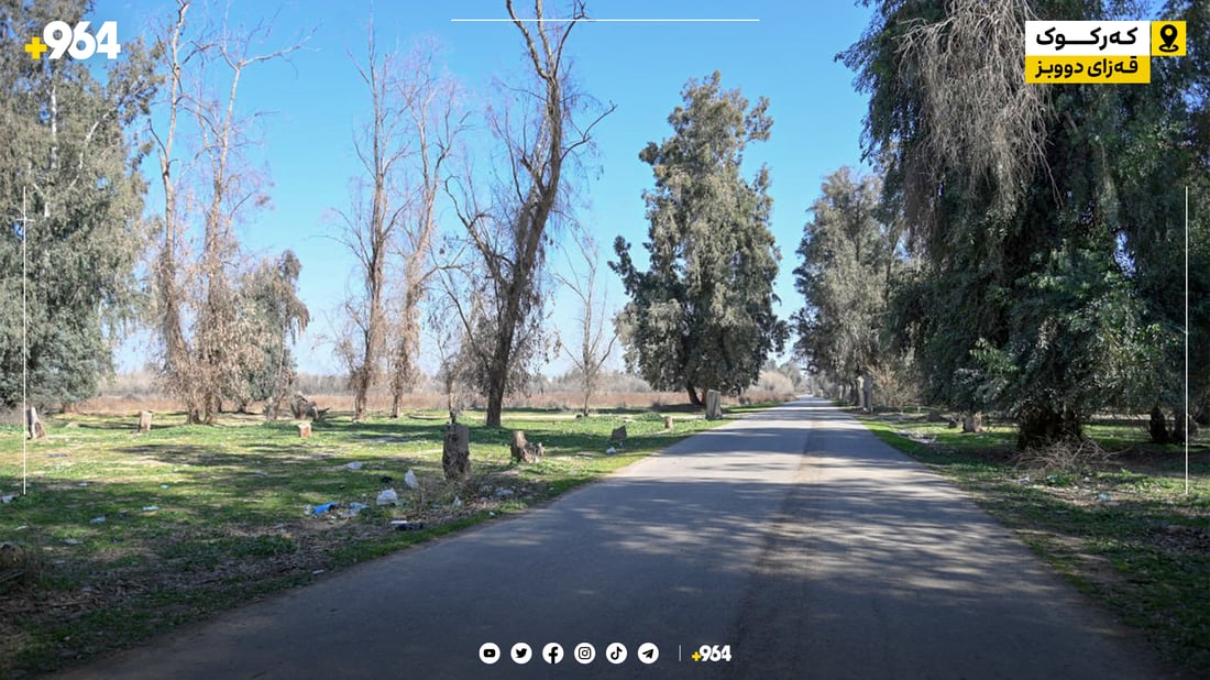 دارستانی (شەناغە) بووەته‌ قوربانى ناوچه‌ جێناكۆكه‌كان