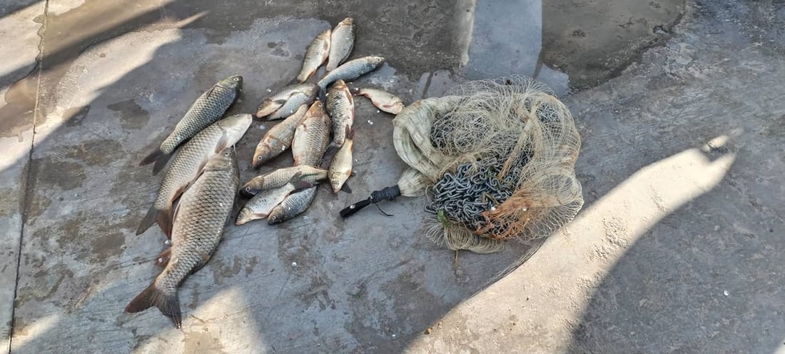 راوه‌ماسی قه‌ده‌غه‌یه‌ و راوچییه‌كان پابه‌ندنین