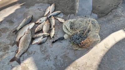 راوه‌ماسی قه‌ده‌غه‌یه‌ و راوچییه‌كان پابه‌ندنین