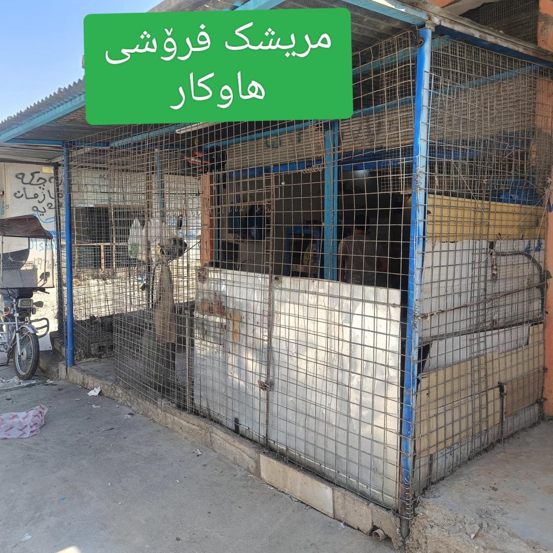 هەر لەو جیهازەى مریشکەکانى پێ پاک دەکات، پێڵاوەکانیشى پێ دەشوات