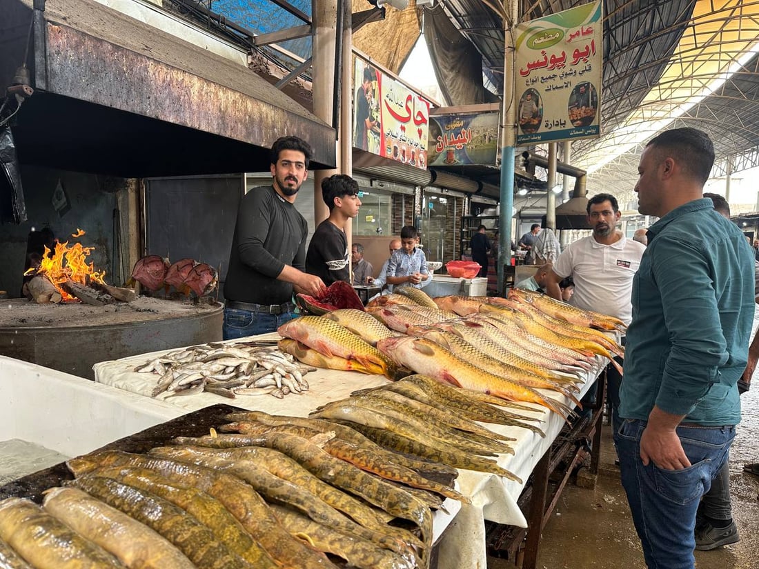 صور: أسماك المحافظات لم تصل الى سوق الميدان في الموصل.. والسعر ارتفع قليلاً