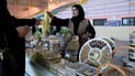 البصرة ترد على اختفاء 8 غرامات من التمرة بمعرض لأشهى الأصناف