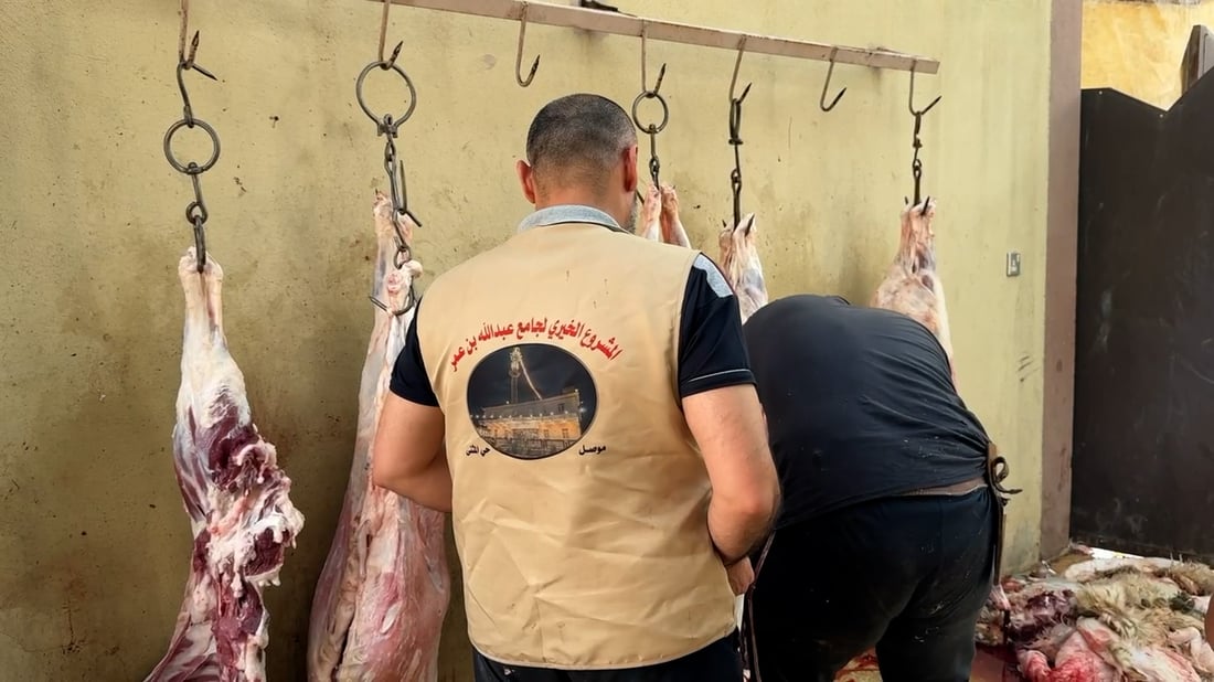 صور: 55 عجلاً و40 كبشاً لفقراء الموصل.. مساهمة المتبرعين صبيحة عيد الأضحى
