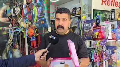 بەچکە پشیلەکان فڕێ مەدەن دایکیان دەگەڕێتەوە