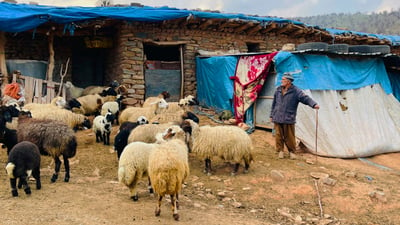 کوێستانەکانى چۆمان چاوەڕوانى رەوەندە کۆچەرییەکان دەکەن