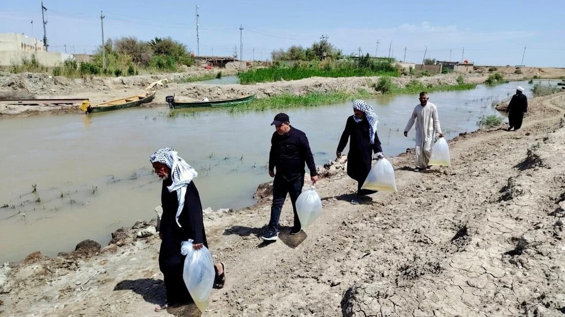 مفقس الميمونة يرفد أهوار ميسان بـ 7 ملايين سمكة “كارب”