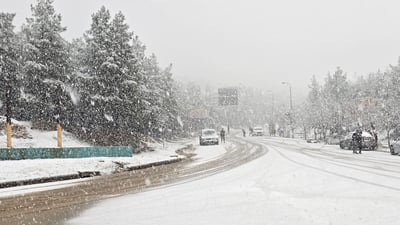 بەفربەفرێکی زۆر لە گۆیژە تێکردووە و داروبەردی سپی پۆش کردووە