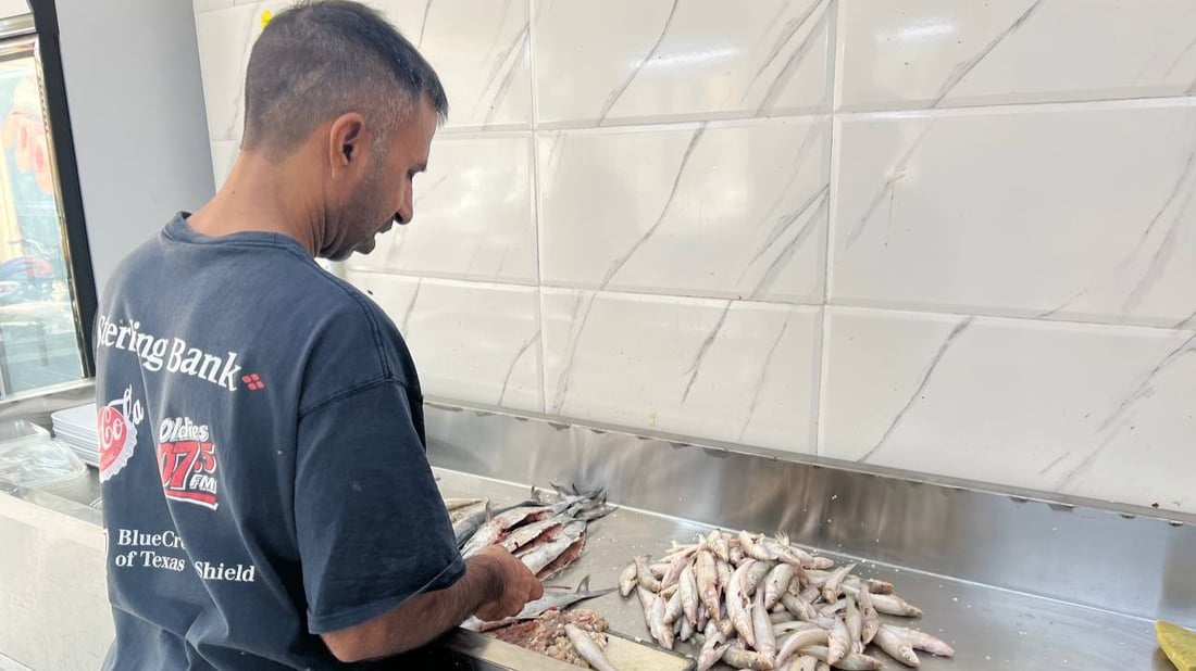 أسماك النهر والبحر متوفرة في الأعظمية.. أسعار 20 صنفاً من محل القبطان (صور)