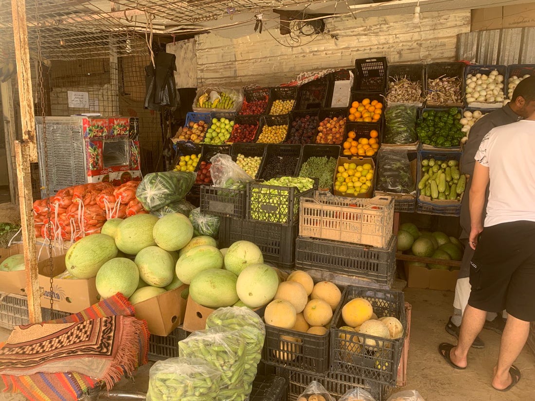 بغداد تنتظر خيرات ربيعة.. البامية إلى 3 آلاف لكنها ستتأخر قليلاً هذا العام (صور)