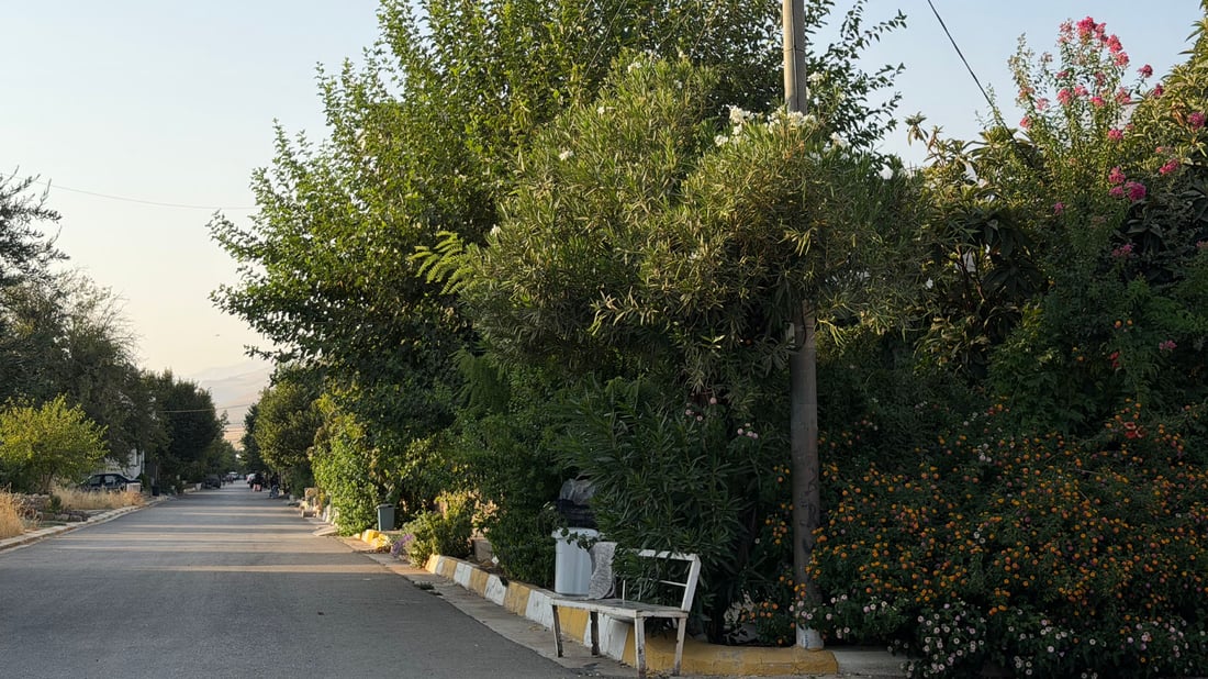 بە سەوزایی گەڕەکەکەیان والێکردووە دڵ و دەروون دەکاتەوە
