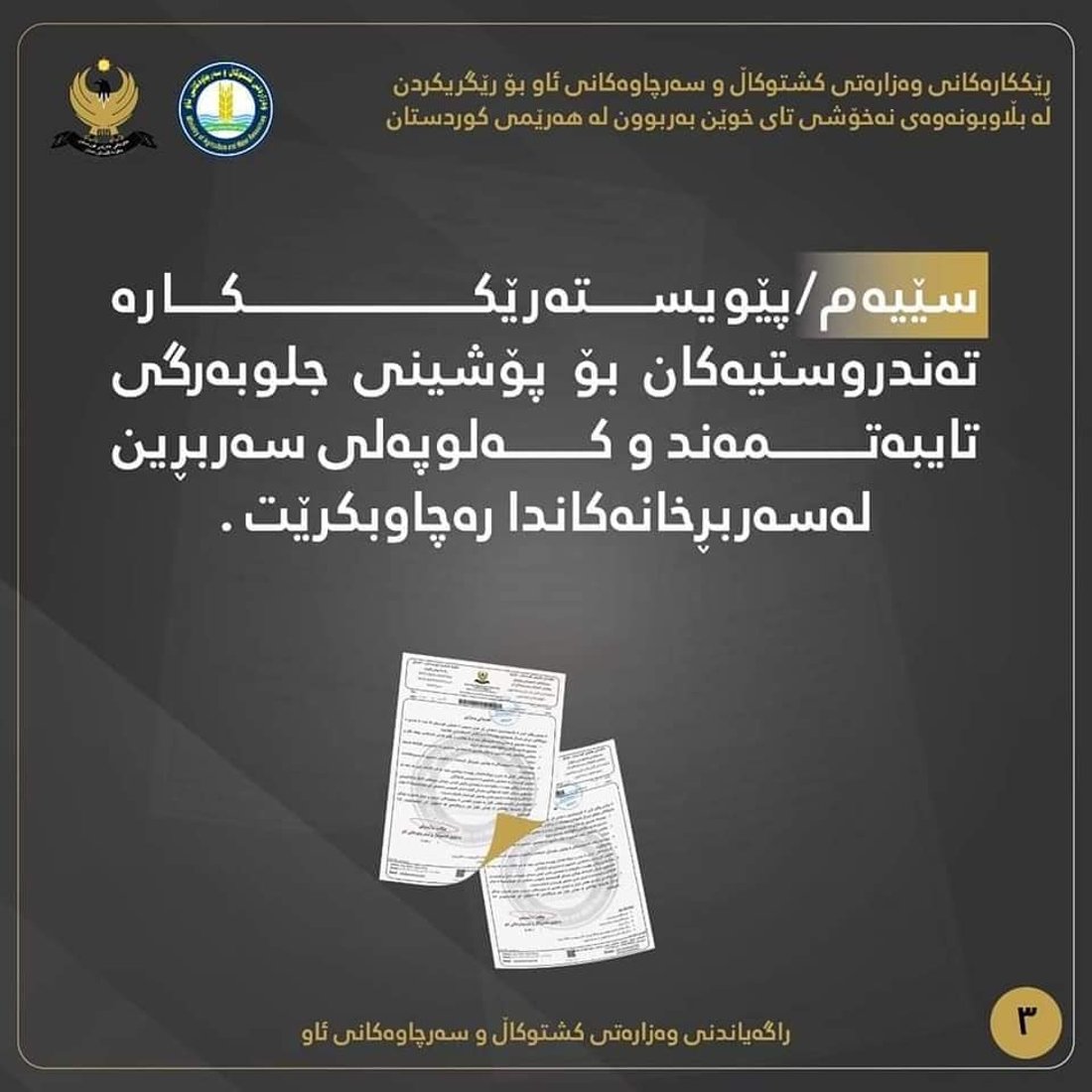 هەرێمی کوردستان بۆ تای خوێنبەربوون کەوتەخۆی