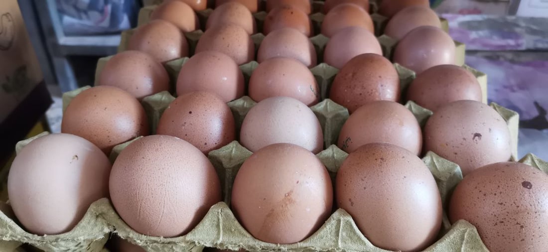الناس يقترضون.. قنينة الزيت في الديوانية بـ 3 آلاف دينار.. والبيض بـ 5