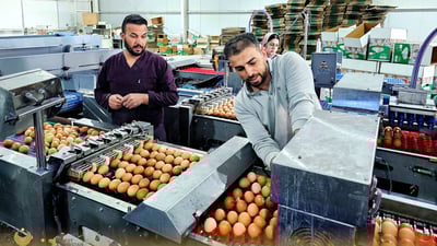 پڕۆژه‌یه‌كی وه‌به‌رهێنان تواناى یه‌ك ملیۆن مریشك و به‌رهه‌مهێنانى 900 هه‌زار هێلكه‌ى هه‌یه‌