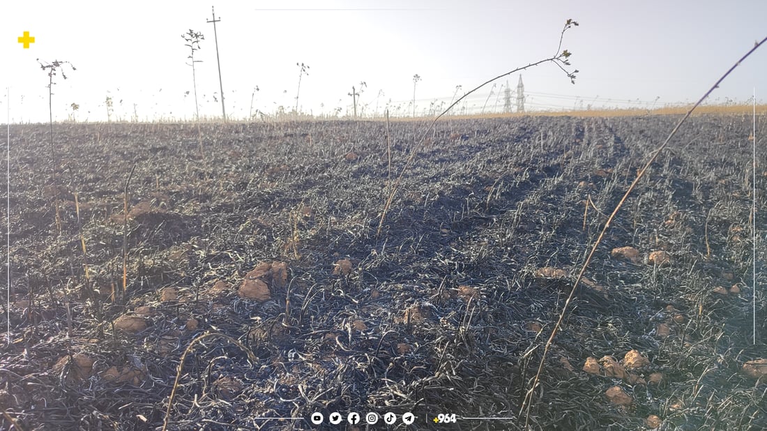 لە چەمچەماڵ پێنج دۆنم گەنم سووتا