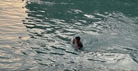 Over 100 lives lost to drowning in Kurdistan Region