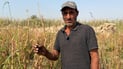 Diyala farmers prepare fields for winter crops after summer harvest