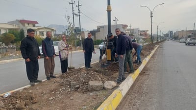 لە درەختى سیسەم رانیە ئەزمون لە هەولێر وەردەگرێت