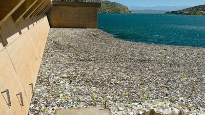 Cleanup operation at Darbandikhan dam concludes after removing 250 tons of waste