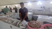 فيديو: بحارة البصرة عادوا بصيد وفير والأسعار نار.. هكذا ...