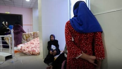 چی له‌باره‌ى شەڵتەری داڵدەدانی ژنان ده‌زانیت ؟