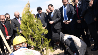 لە هەولێر 1500 دار دەچێندرێت 