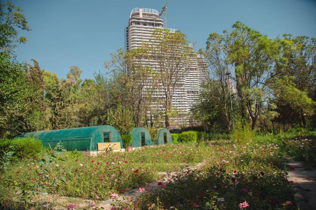 112 هەزار نەمام ئامادەن بۆ باخچەکانی هەولێر 