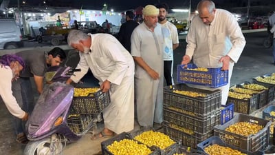 فيديو: كربلاء لا تصبر على شارع بشار.. أهل الحلة يريدون “حلاوي” البصرة فجراً