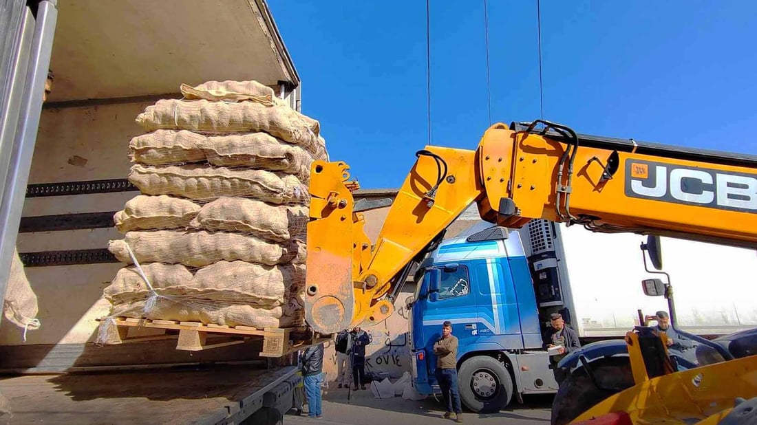 Halabja farmers receive 40 tons of potatoes from WFP training program