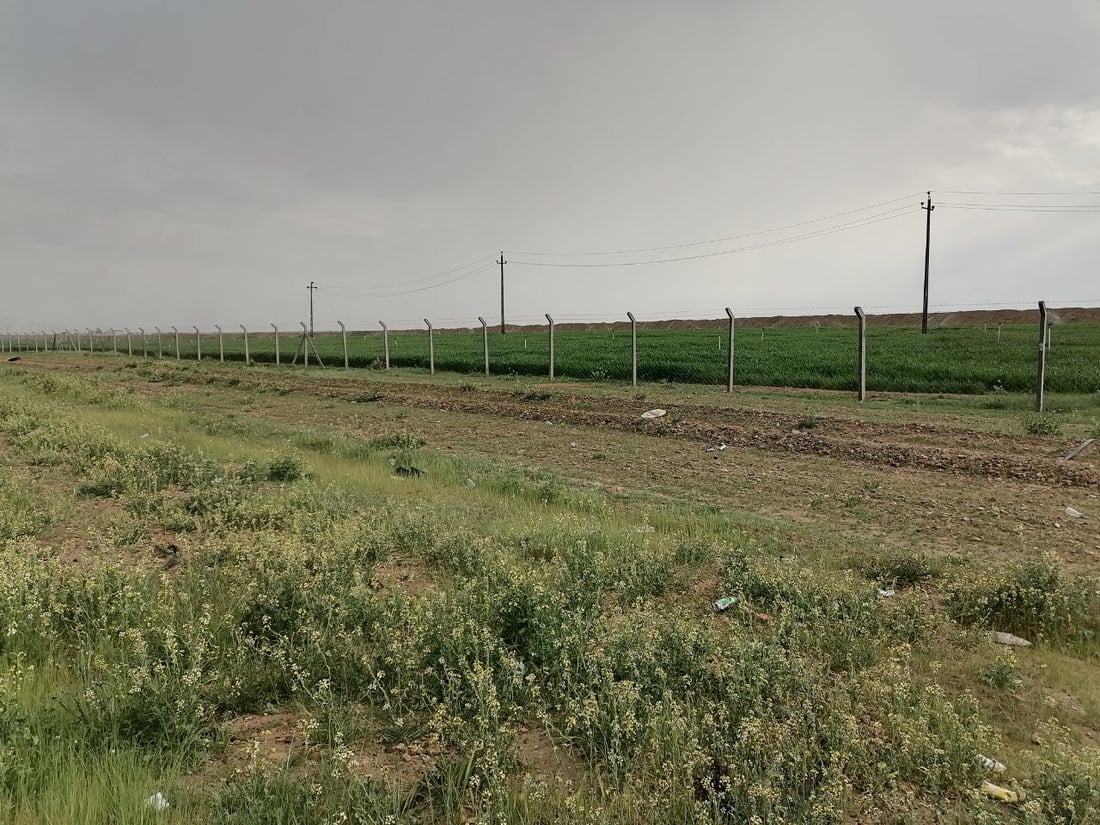 مزارعو صلاح الدين بانتظار السماد: منع الاستيراد مهم للصناعة.. لكن ماذا عنّا؟