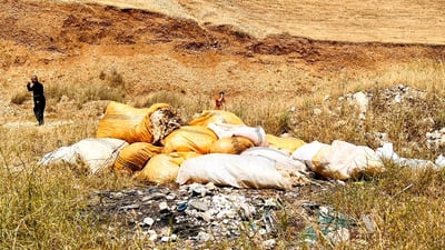 لەسەر فڕێدانی مریشکی مردارەوەبوو لێکۆڵینەوە لە دەواجینەکانی هەڵەبجە دەکرێت