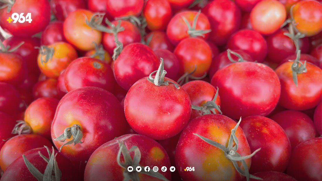بۆچی تەماتەی زستانە بەشێک لە رەنگە سوورەکەی لەدەستدەدات؟