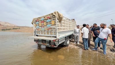 فيديو: إصبعيات سمك من جنوب العراق تطلق في دربندخان.. تبرع بها تاجر أثاث كردي