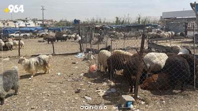 مەترسی تای خوێنبەربوون هەر ماوە..دوو هاوڵاتی لە عێراق گیانیان لەدەست دا