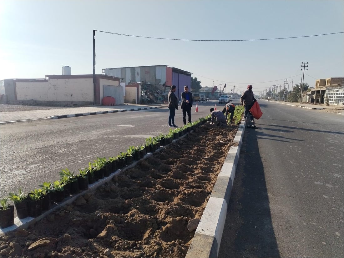 المشخاب تدعو أهلها للمشاركة في زراعة طريق القادسية.. أشجار أكاسيا بين الأقحوان